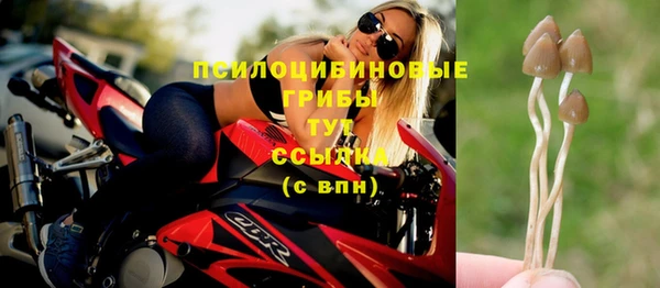 МДМА Медвежьегорск