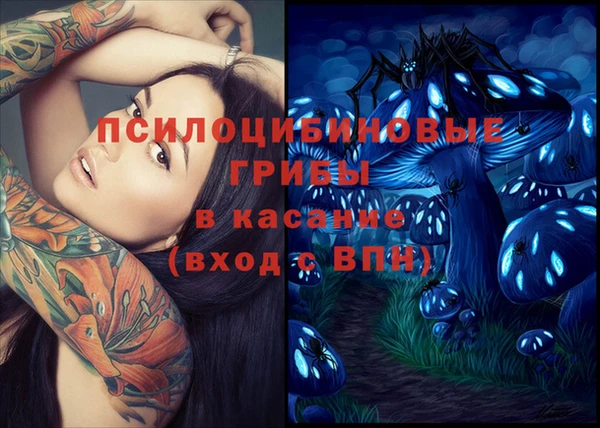 эйфоретик Медногорск