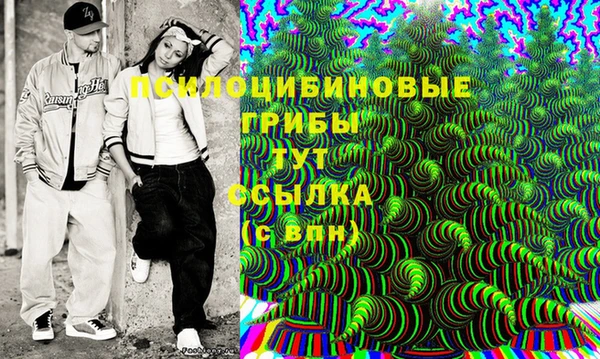 СК Мегион