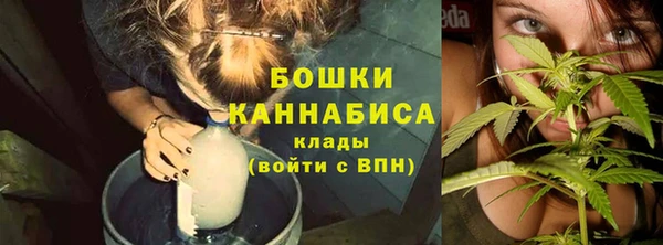 СК Мегион